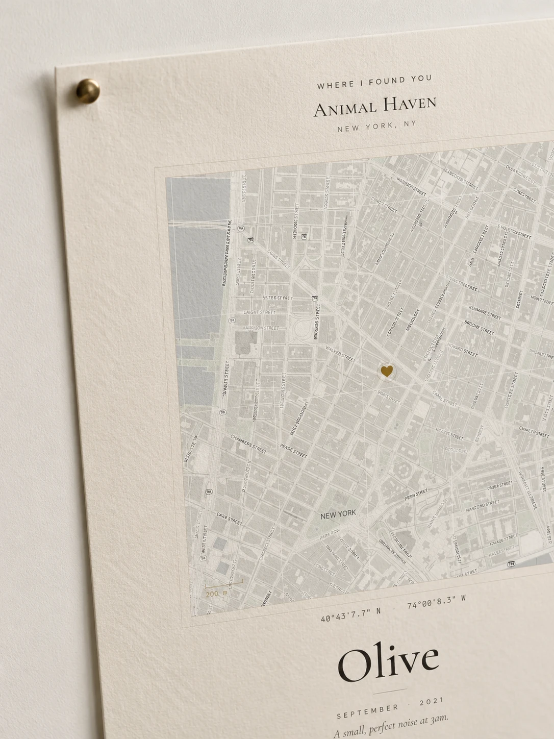 Close-up — paper texture, ink, heart pin detail